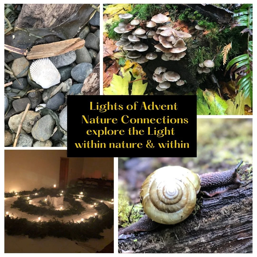 Lights of Advent Nature Connections