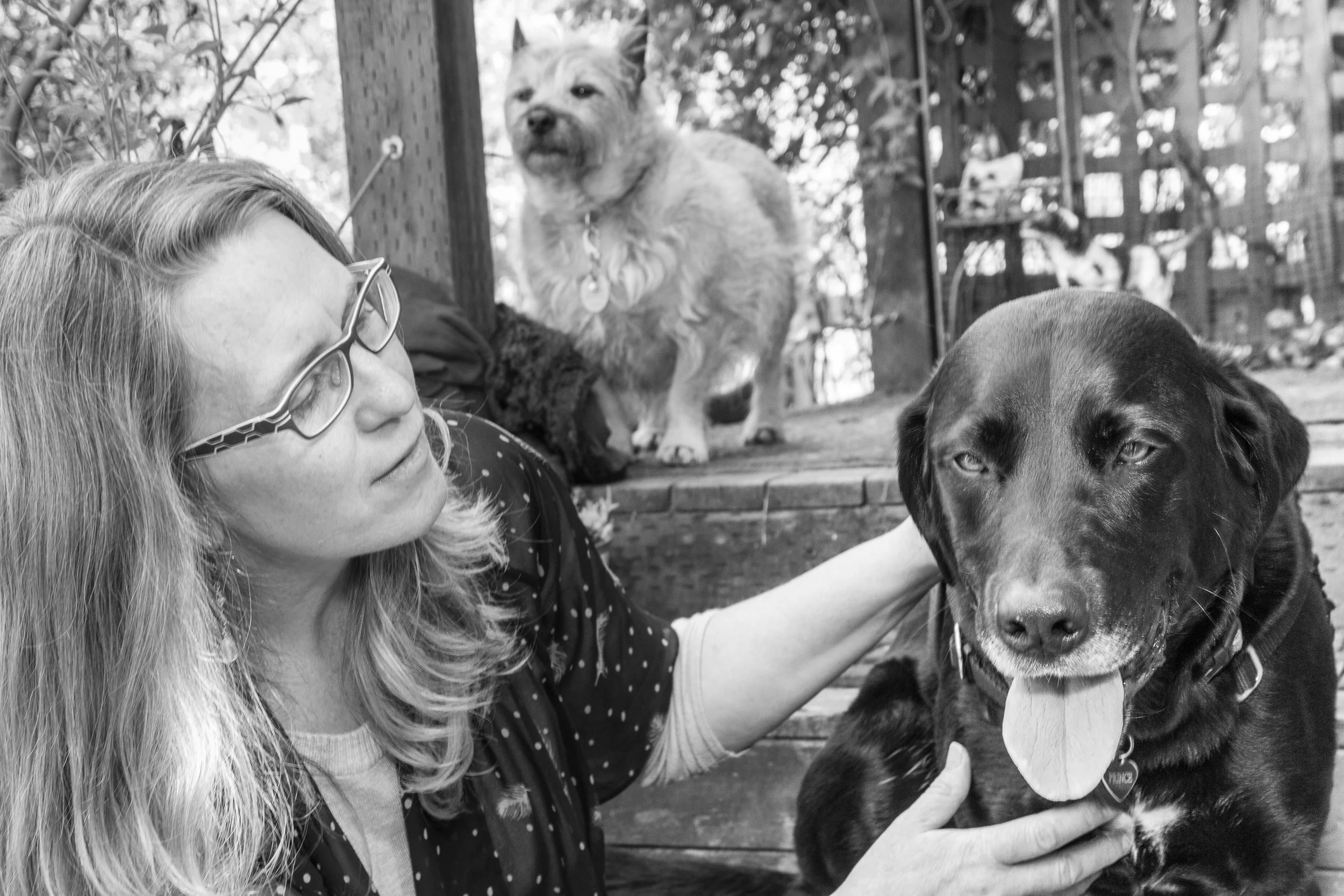 BOOK A SESSION — HeartSong Communication Neave Karger Animal