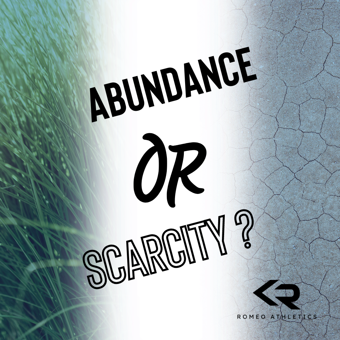 Abundance or Scarcity?
