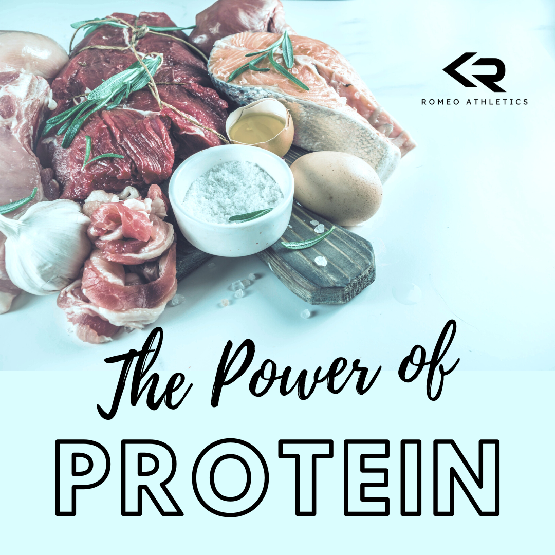 The Power of Protein