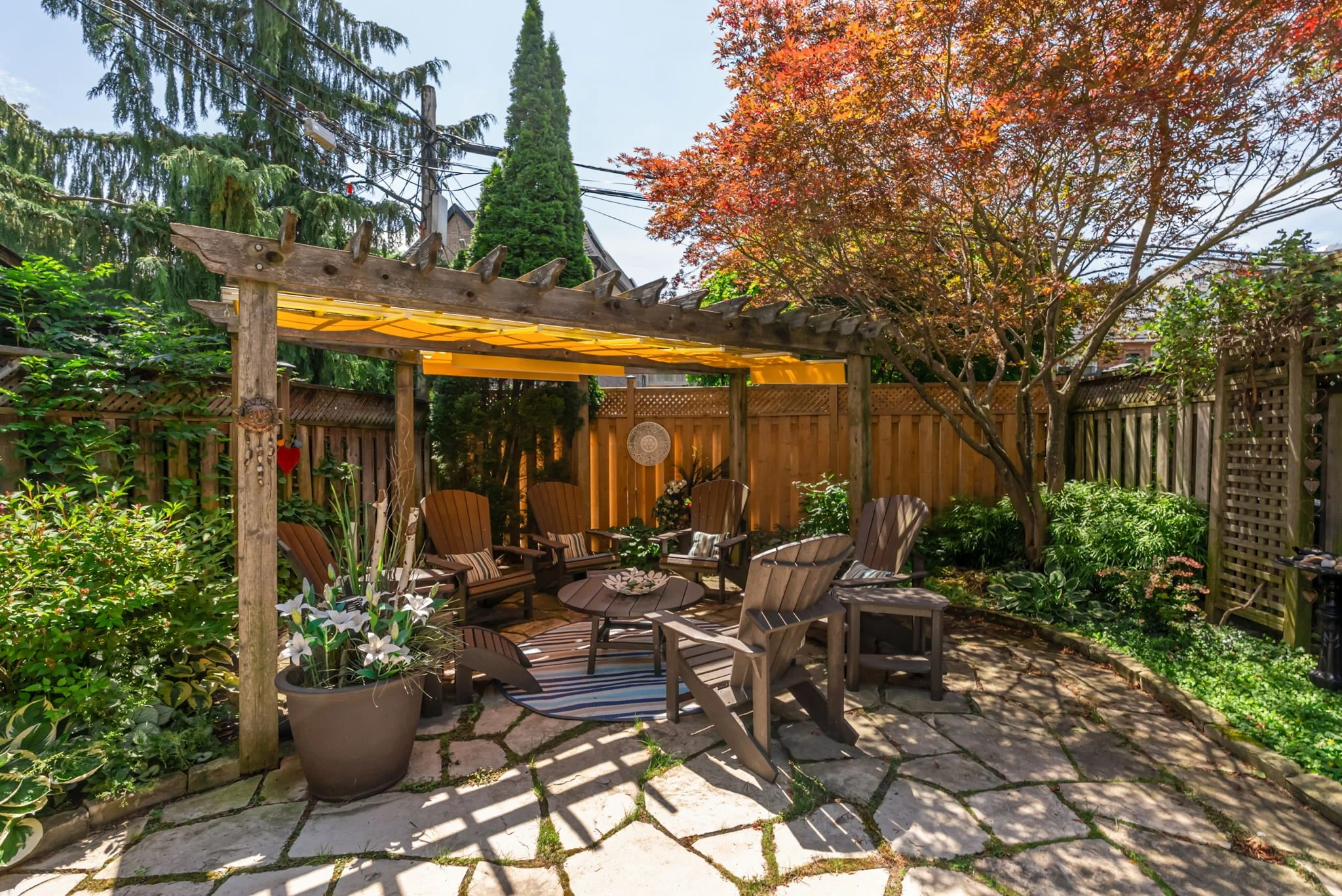 68-web-or-mls-DSC09812.JPG