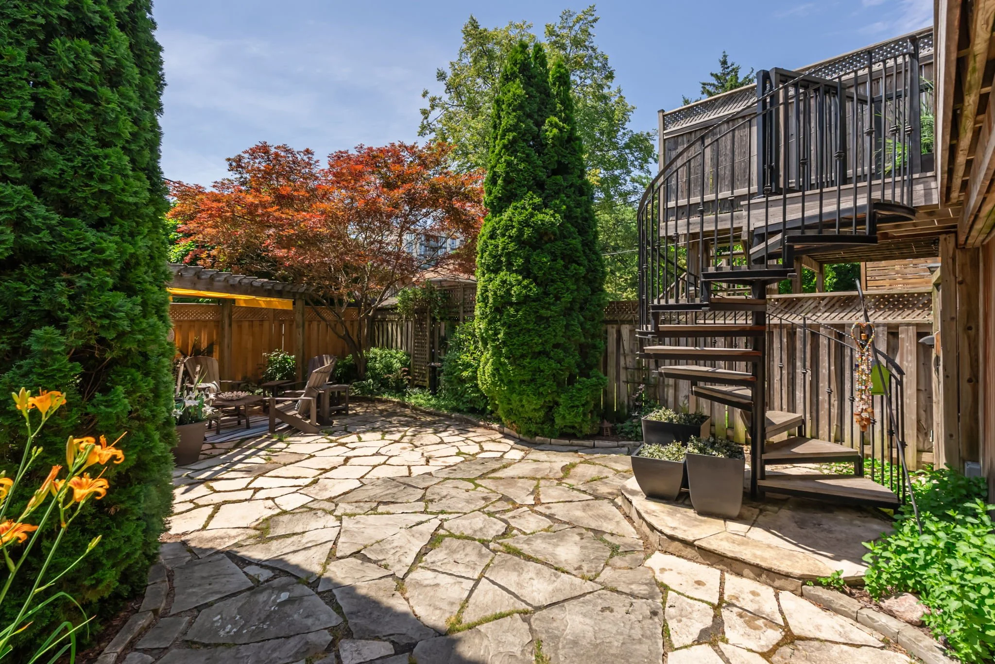 70-web-or-mls-DSC09797.JPG