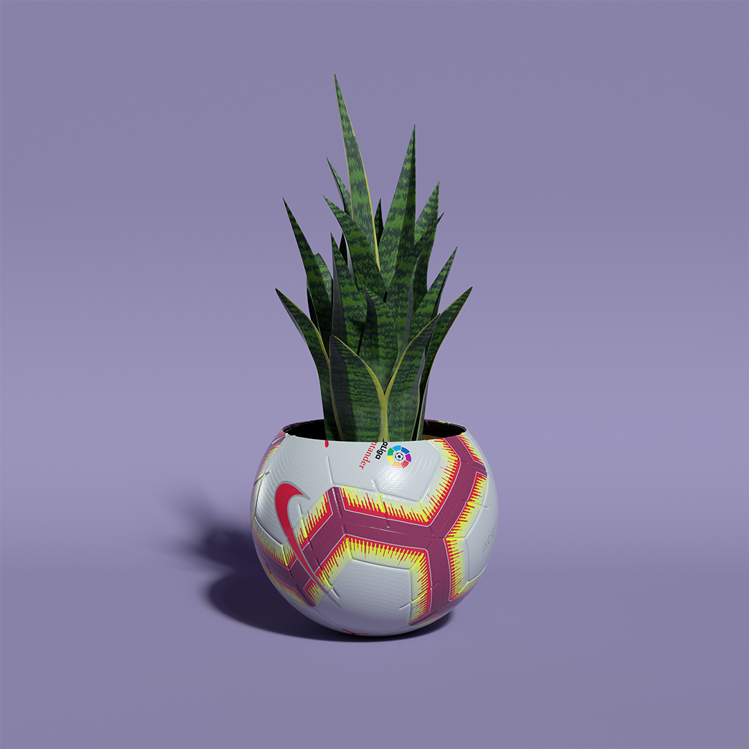 8_Sansevieria.png