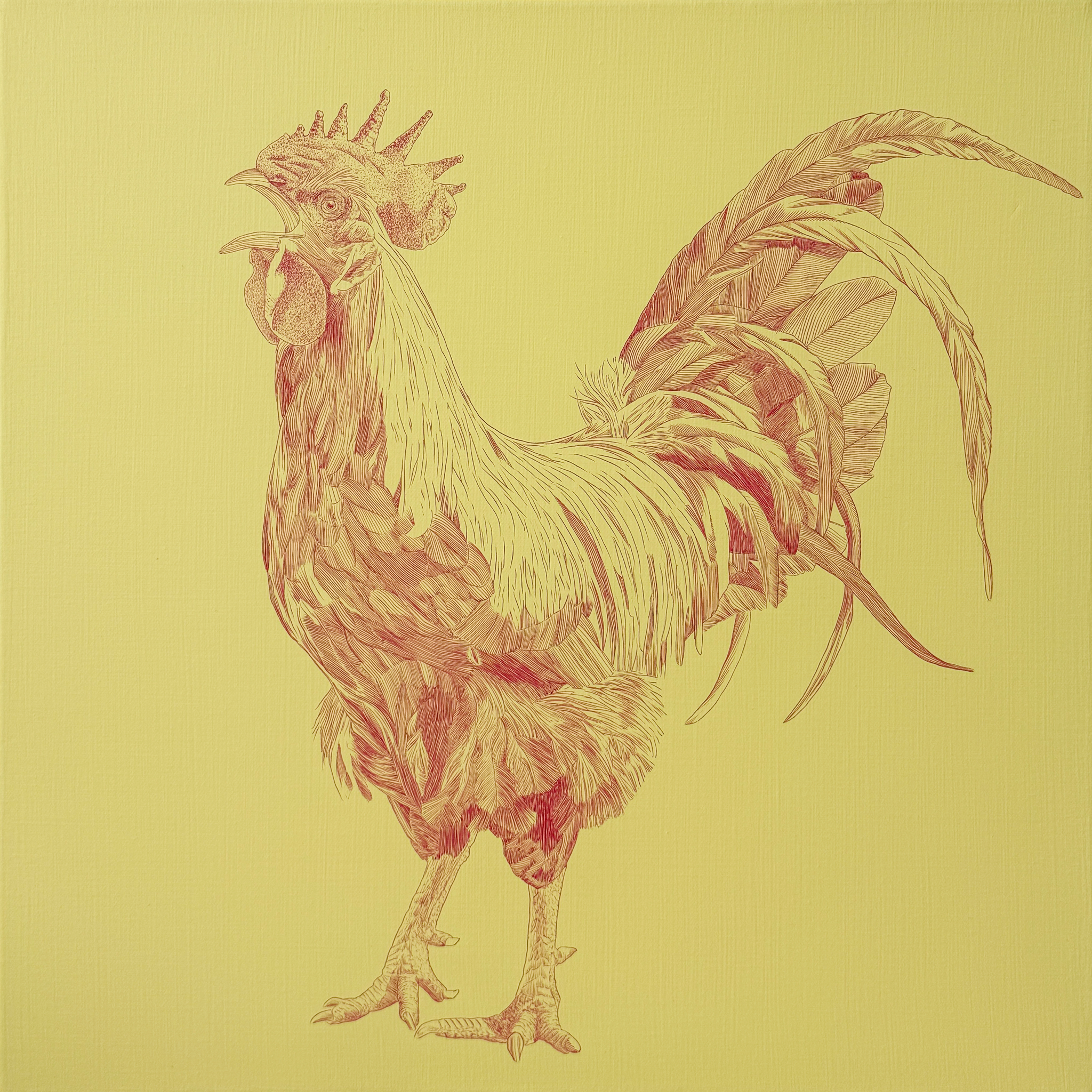Coco, 2024, Acrylic Gouache on canvas, 18 x 18 inches, $2,800