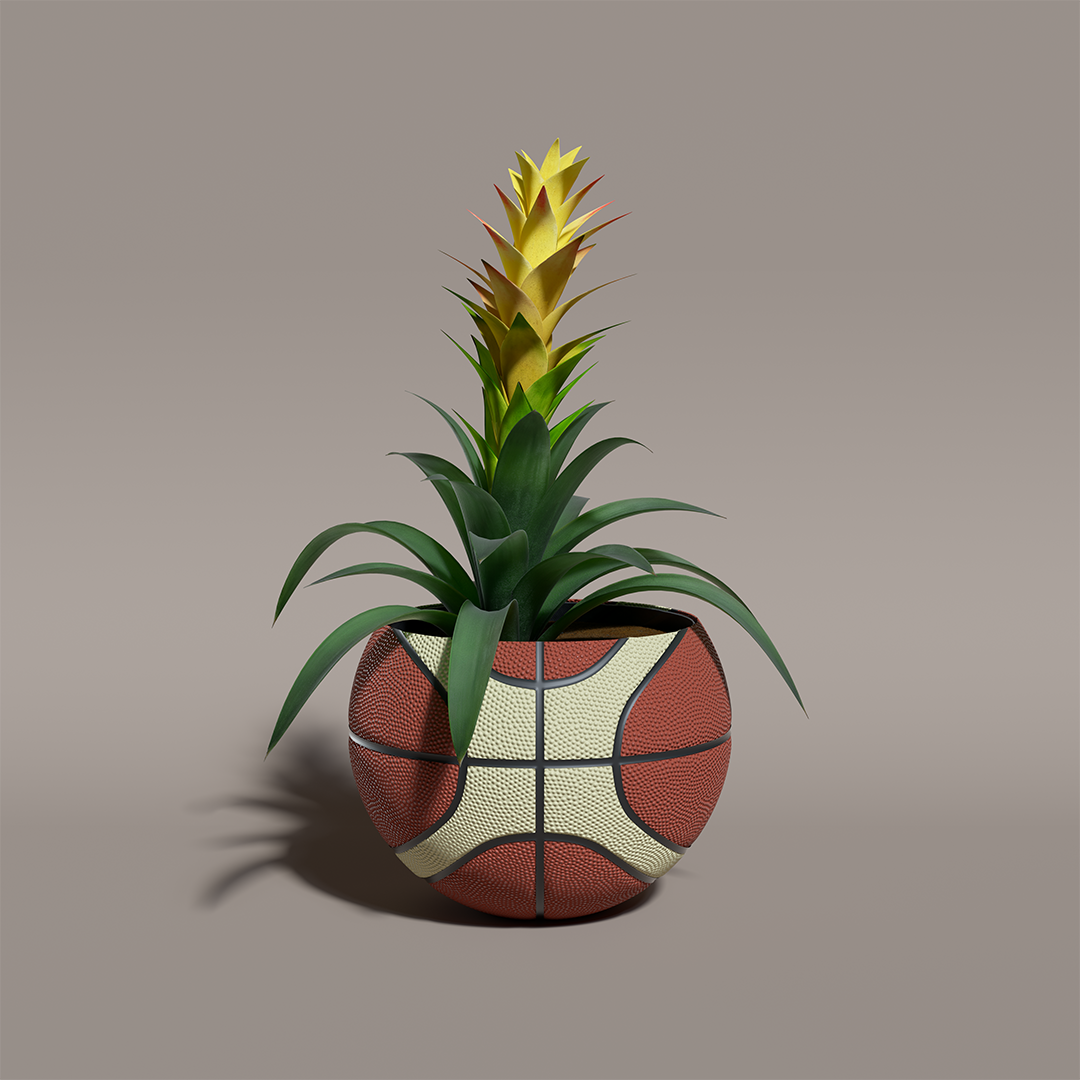 9_Yellow_Bromeliad.png