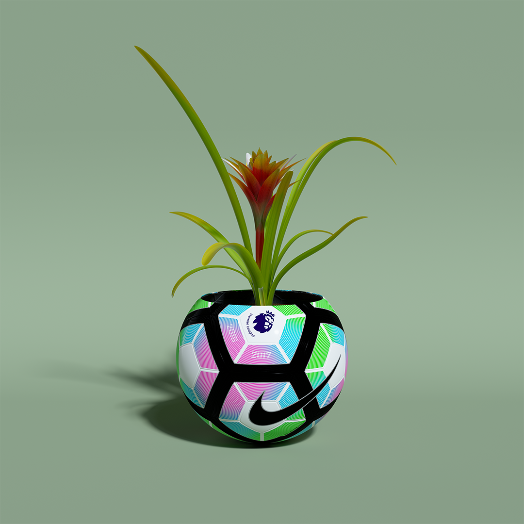2_Red_Bromeliad.png