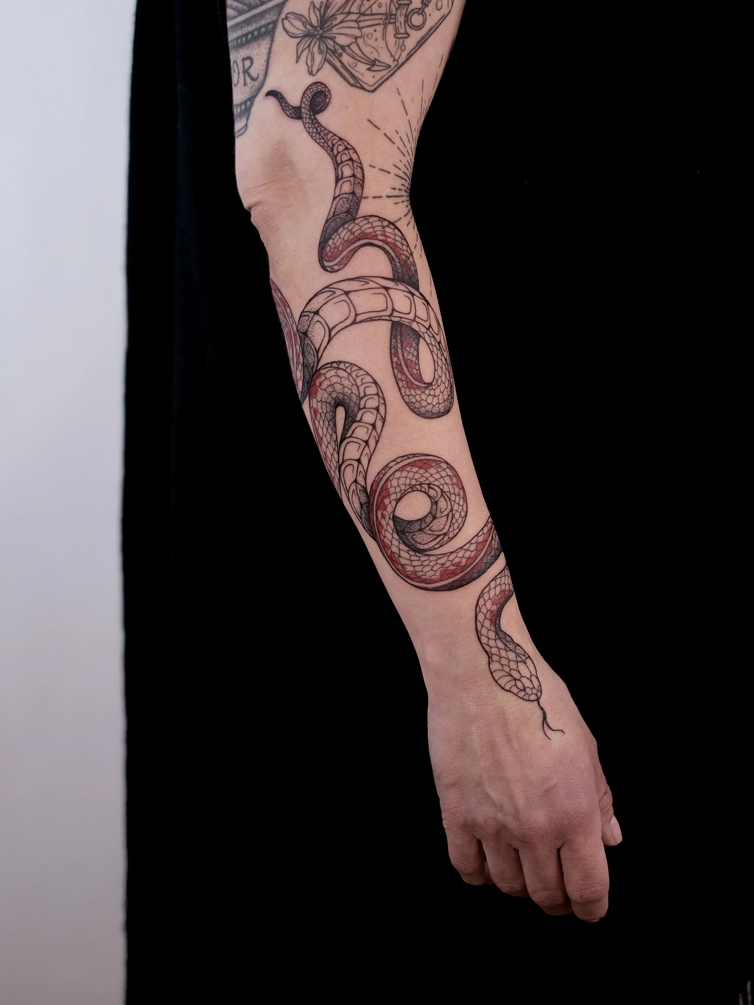 Tattoo of a red and black snake coiled along the arm.