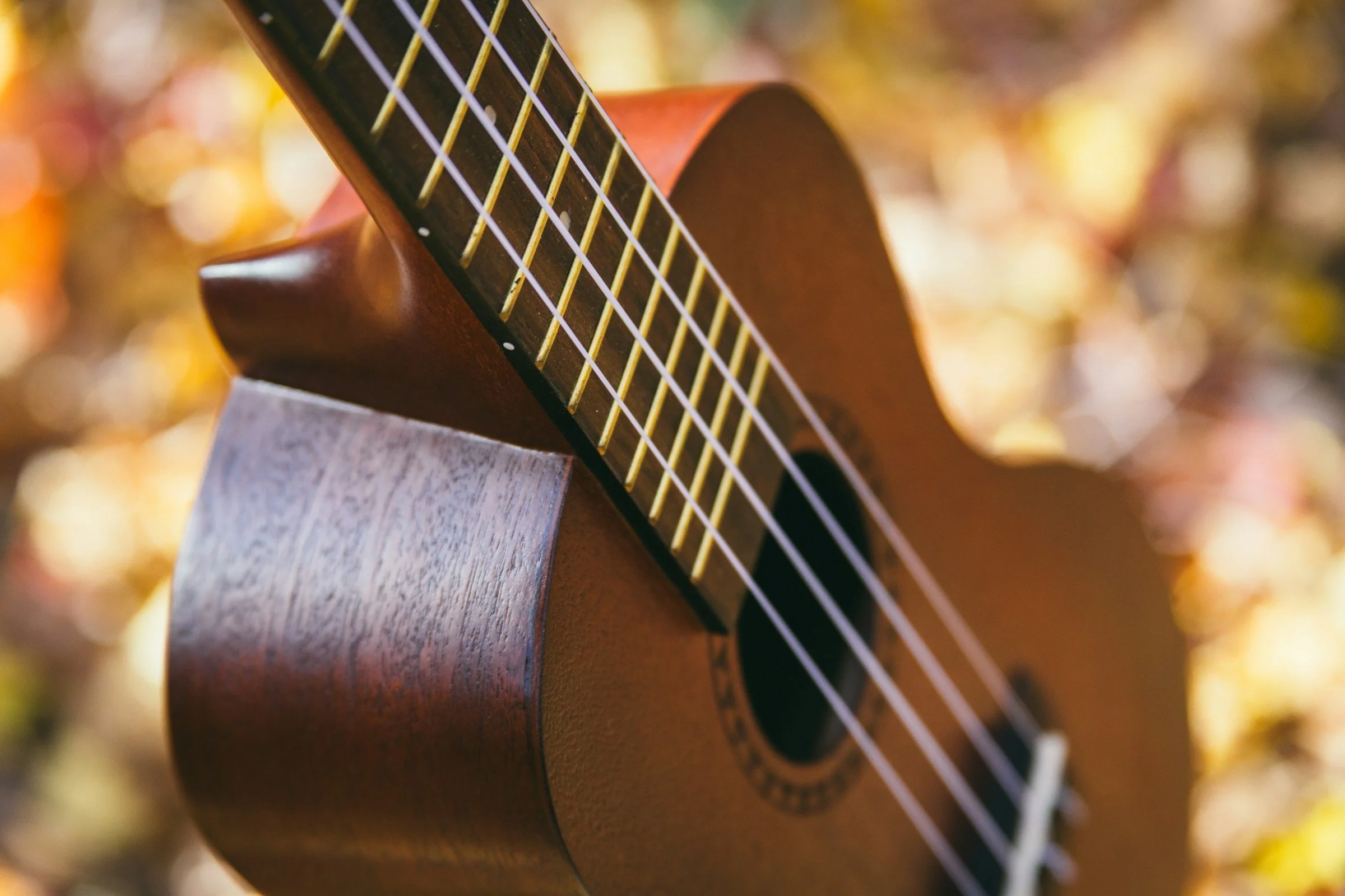 Ukulele Strum Circle