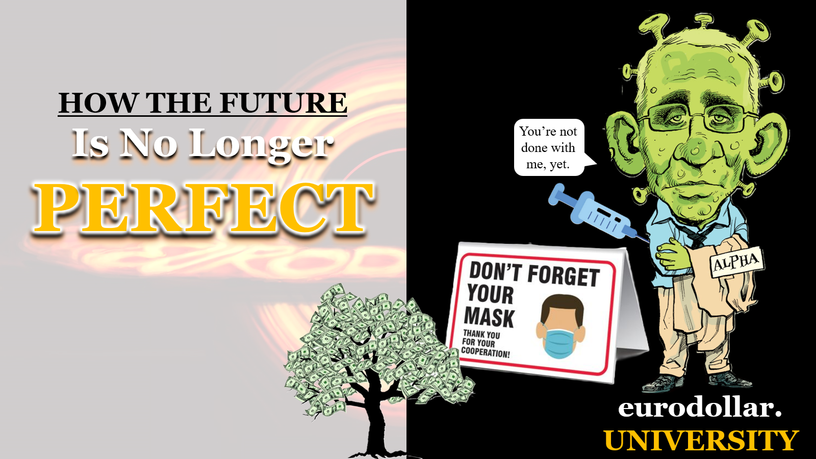 No Longer Perfect: Pandemic Poverty
