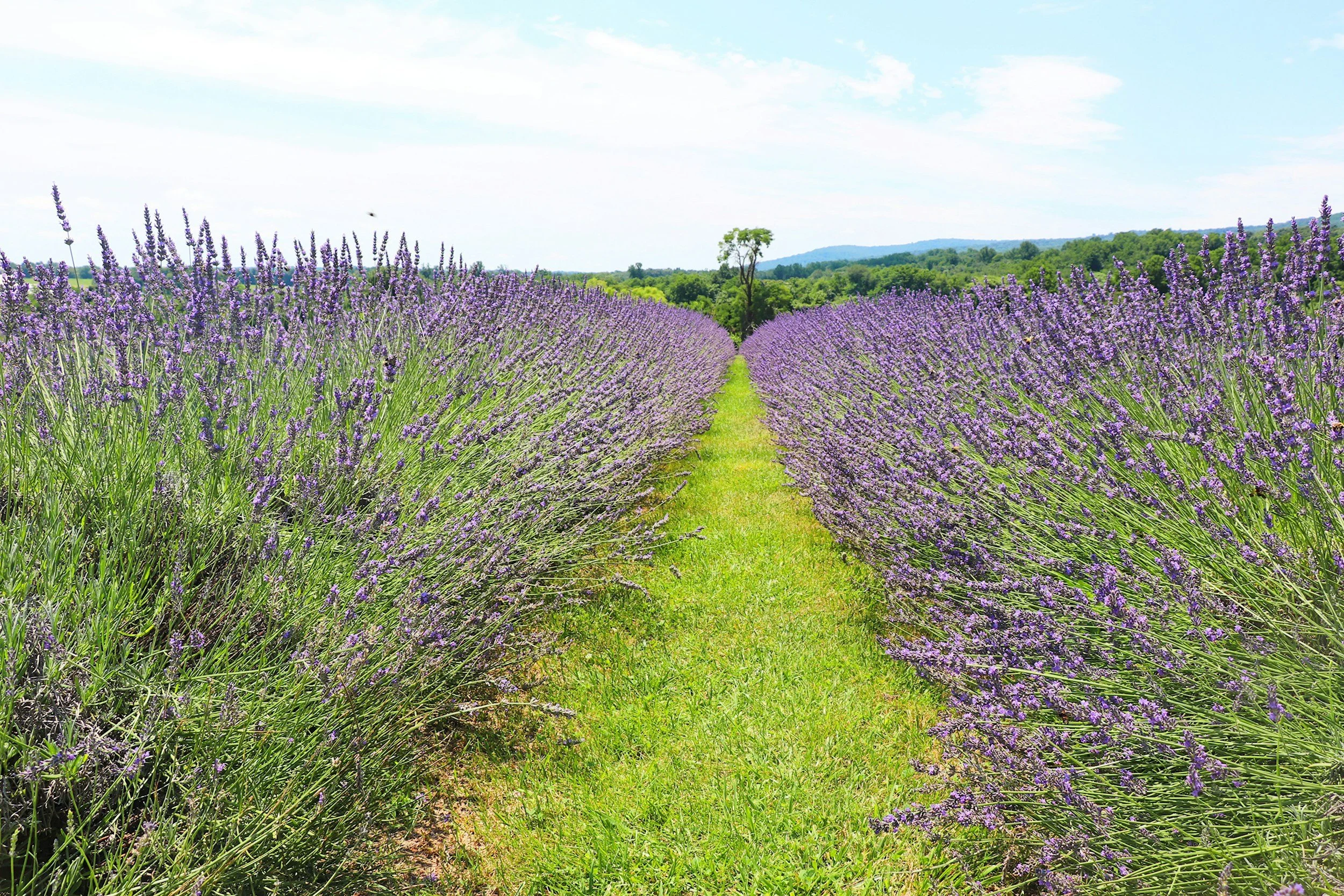 Two people, one with short dark hair wearing a plaid shirt and the other with long reddish hair wearing a black jacket, sit close together with their heads touching, in a modern corridor with metal and glass walls.