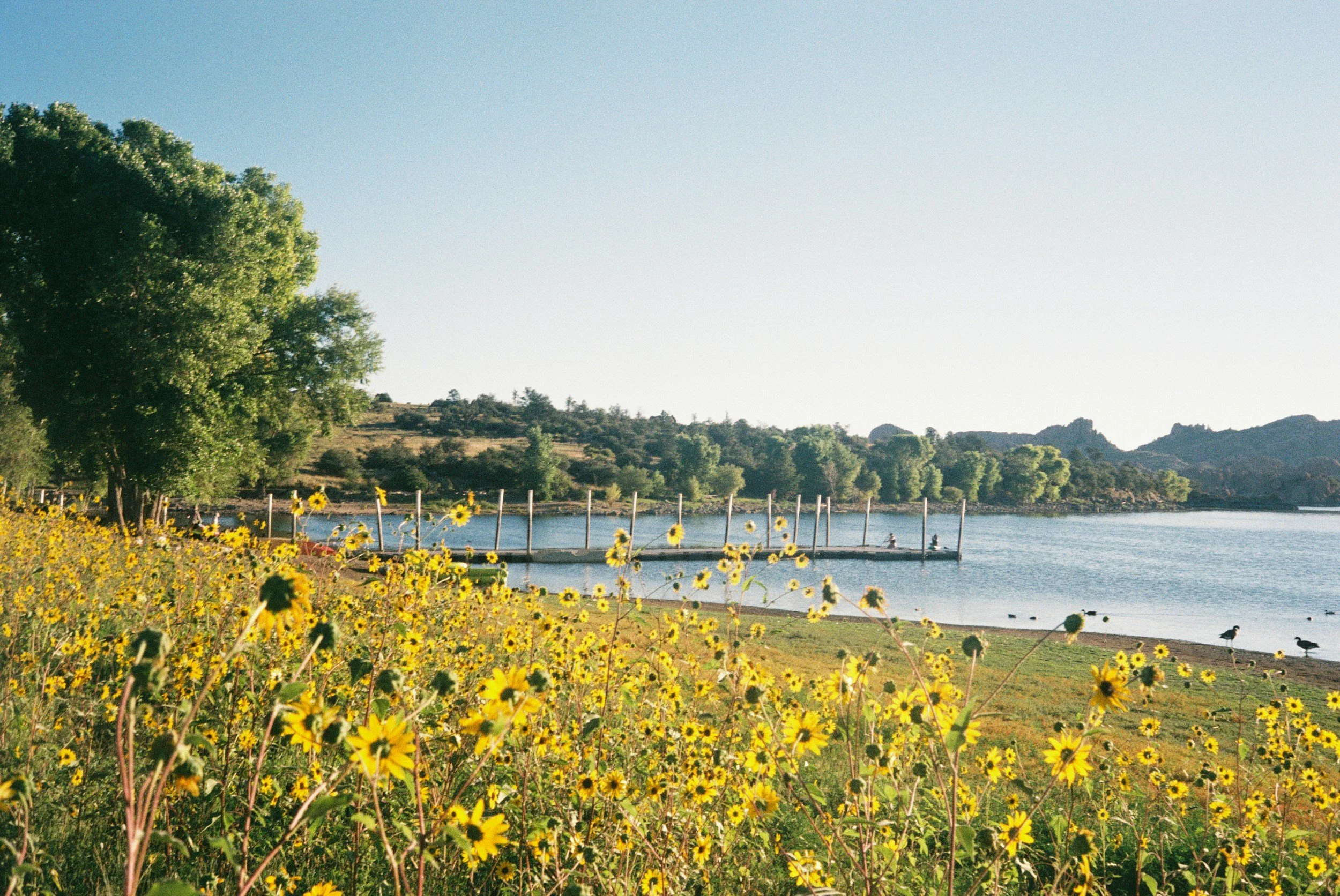 A family of five outdoors near a lake during sunset, with trees in the background. They are smiling and posing for the photo, wearing dark clothing.