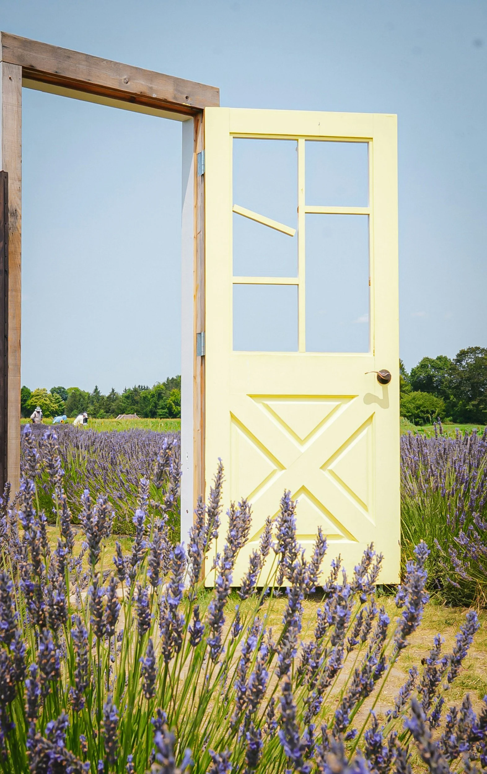 A young woman with dark hair and arched eyebrows looks through window blinds, resting her face on her hand, with a contemplative expression.