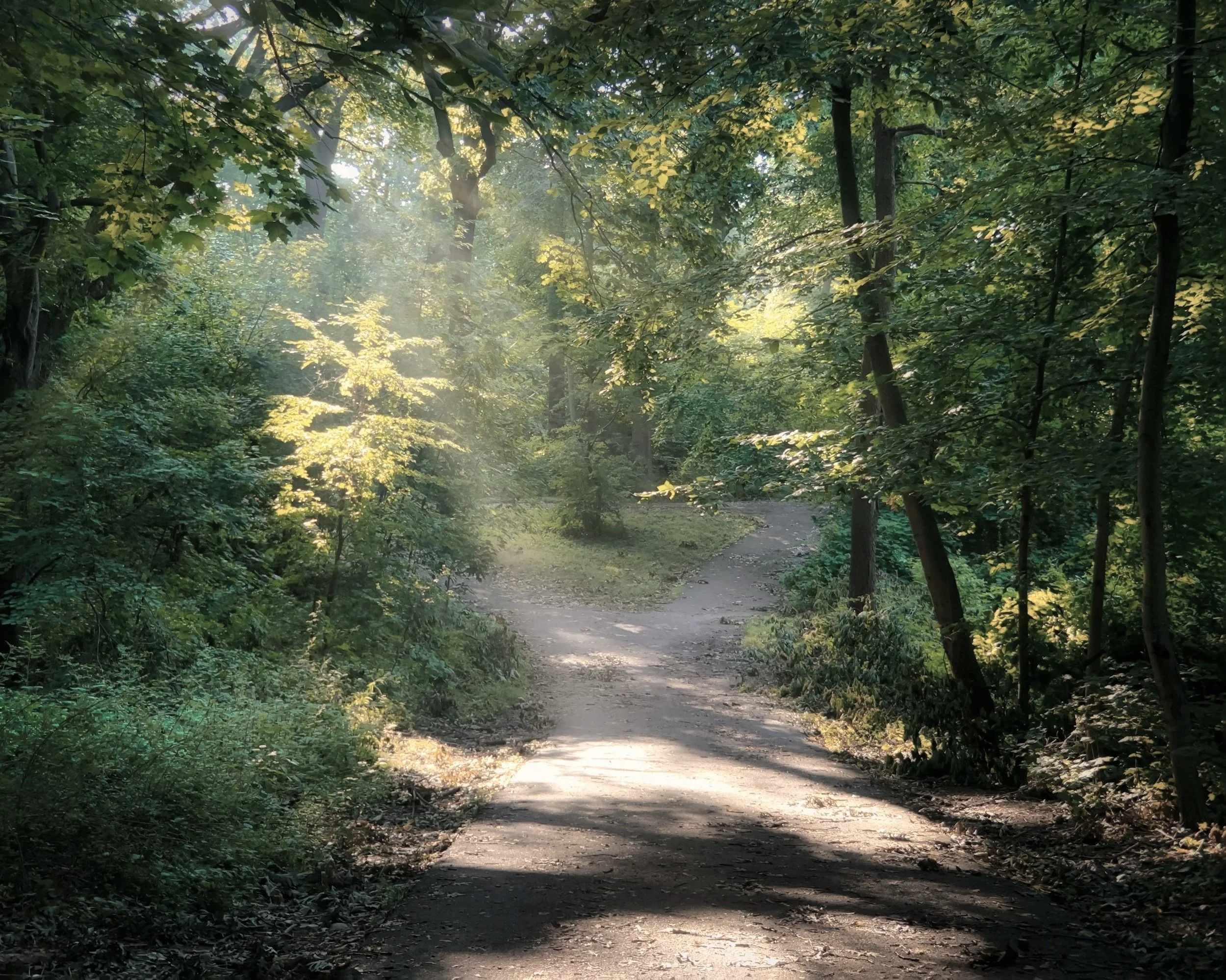 A family of four standing outdoors with green trees in the background. They are smiling and have their arms around each other. The father is wearing a white shirt with a graphic print, the mother is in a blue and black striped top, and the two boys are in casual shirts, one blue and one black.