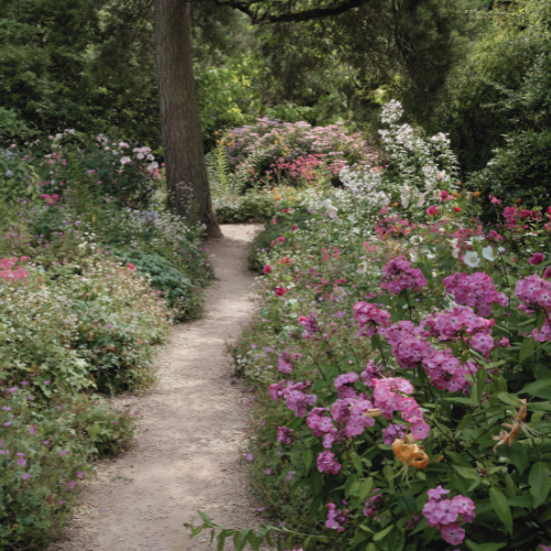 Woman placing flowers on a grave in a cemetery.