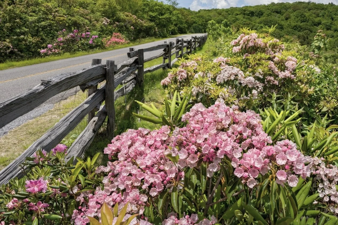 Two women hugging each other with warm expressions.