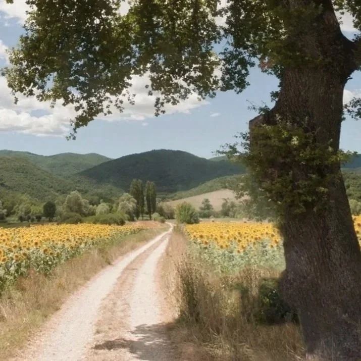 A woman with wavy, red hair looking out over a lake surrounded by tall grass and trees during sunset or sunrise.