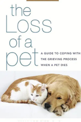 Copy of Copy of Aldenaire & Partners (10).png