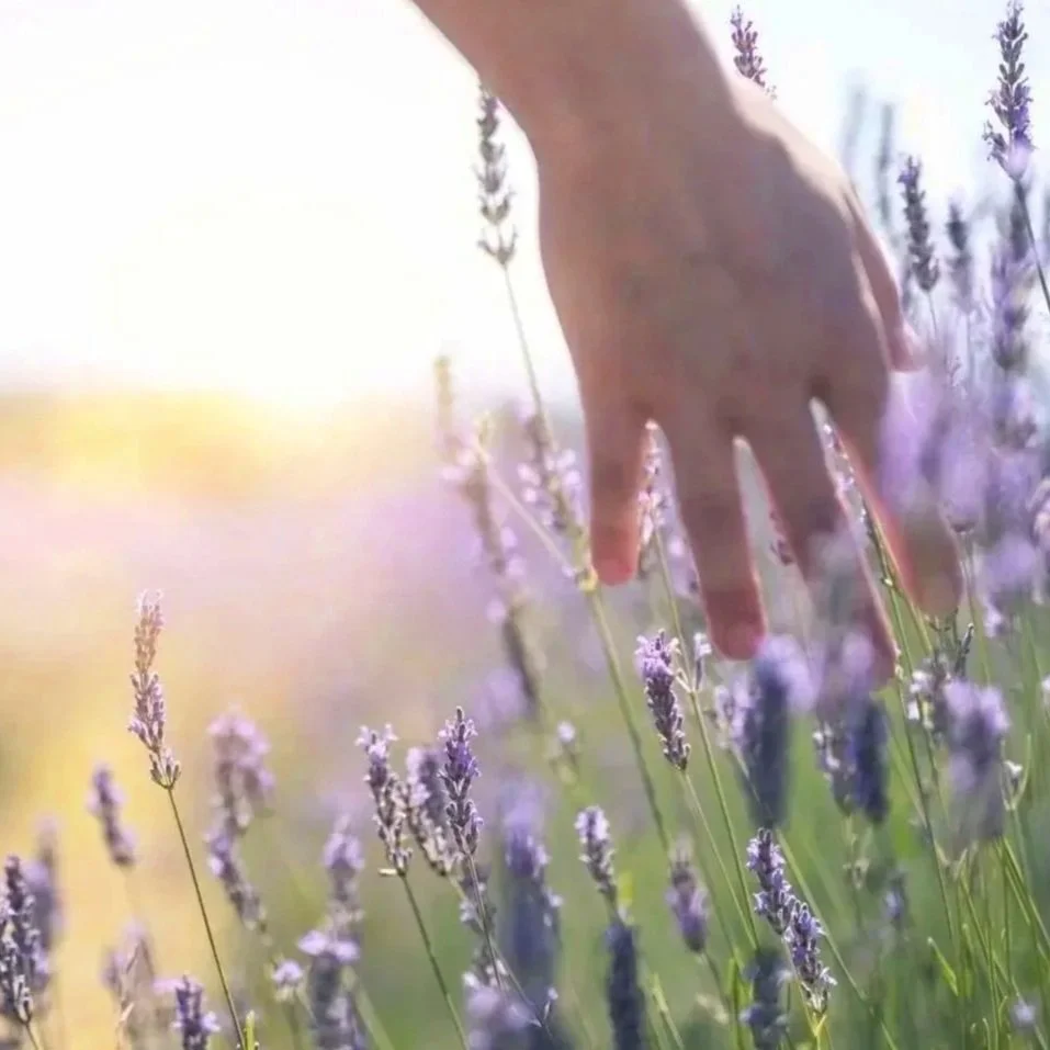 A woman with long blonde hair hugging a man with short brown hair, wrapped in a colorful patterned blanket, outdoors near a body of water and trees in the background.