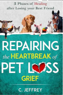 Copy of Copy of Aldenaire & Partners (11).png