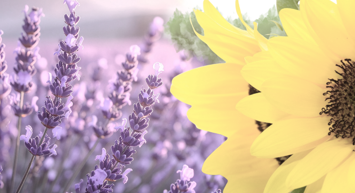 Woman with red lipstick and dark hair wearing a gray beret, resting her head on her arm at a desk with a blue mug and notebook in front of her, near a window with a plant in the background.