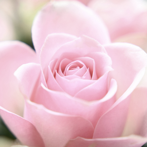 A glowing, semi-transparent human brain with a bright light shining from the center, surrounded by a dark background.