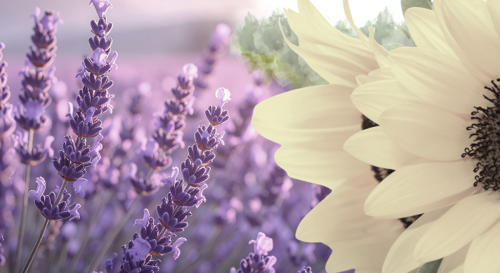 An emotional moment between an elderly woman and a young girl, displaying comfort and support.