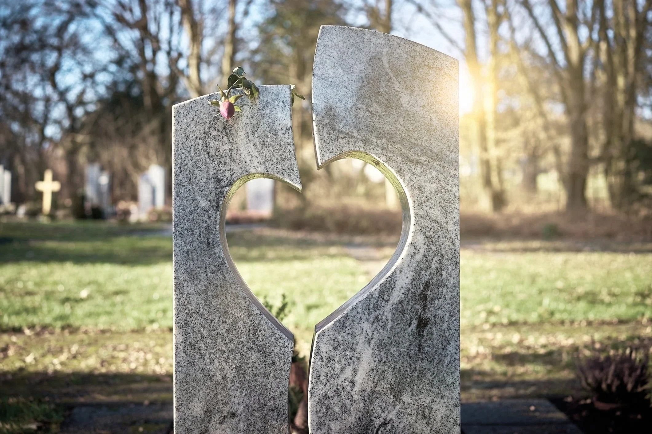 Person laying flowers on a stone memorial or tribute with sunlight and greenery in background.