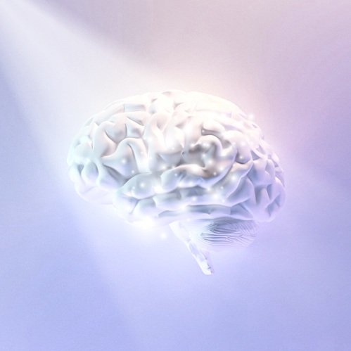 Your Brain on Grief