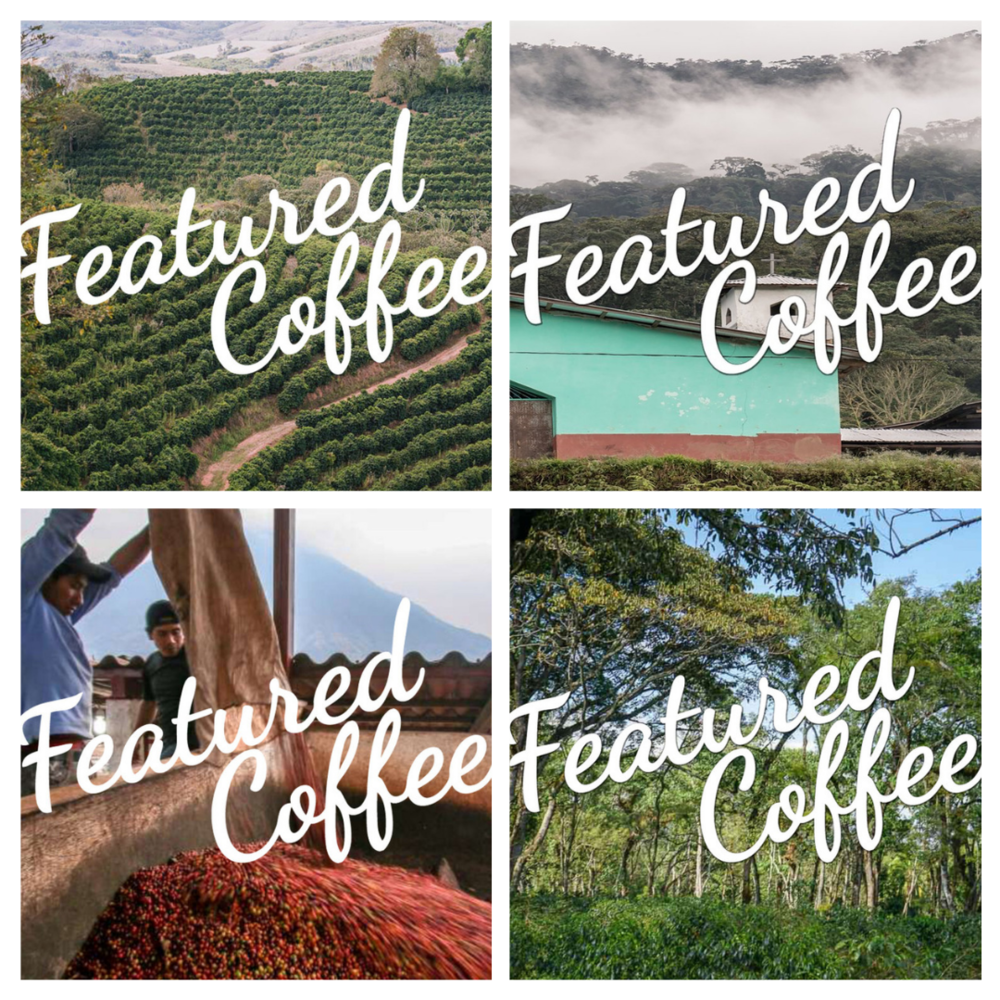 roaster box coffee