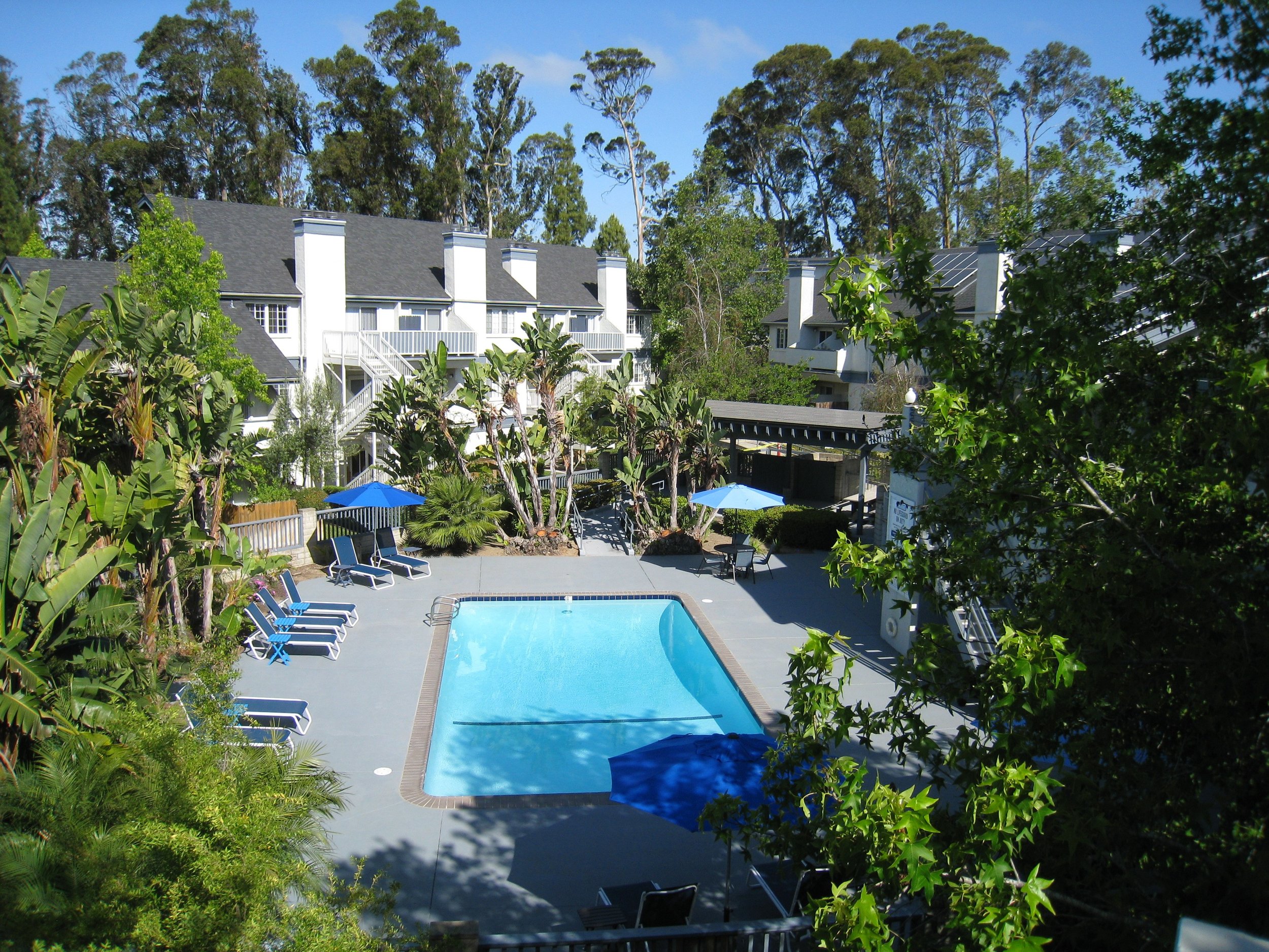 Pool 4.jpg