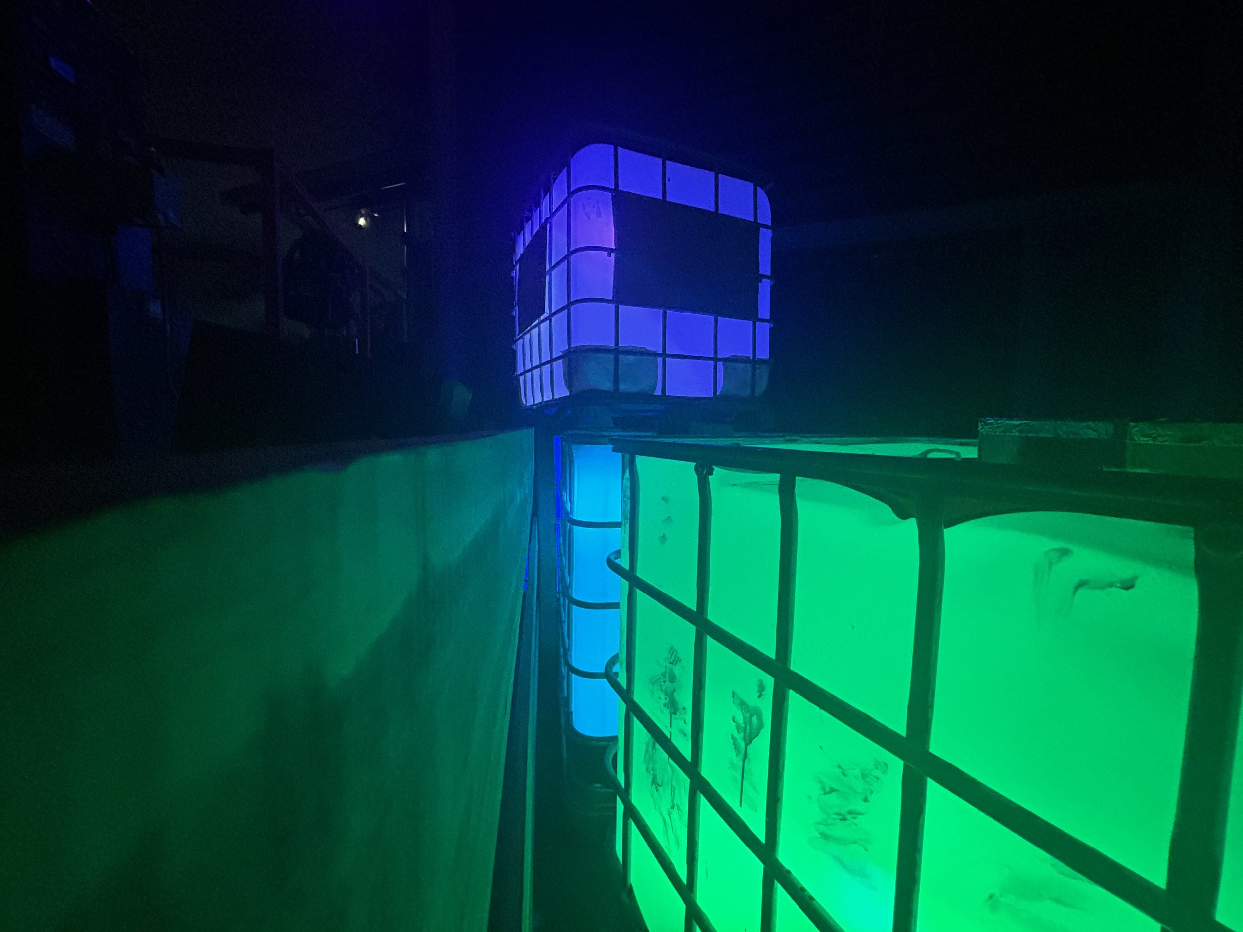 20240826_025801765_iOS.jpeg
