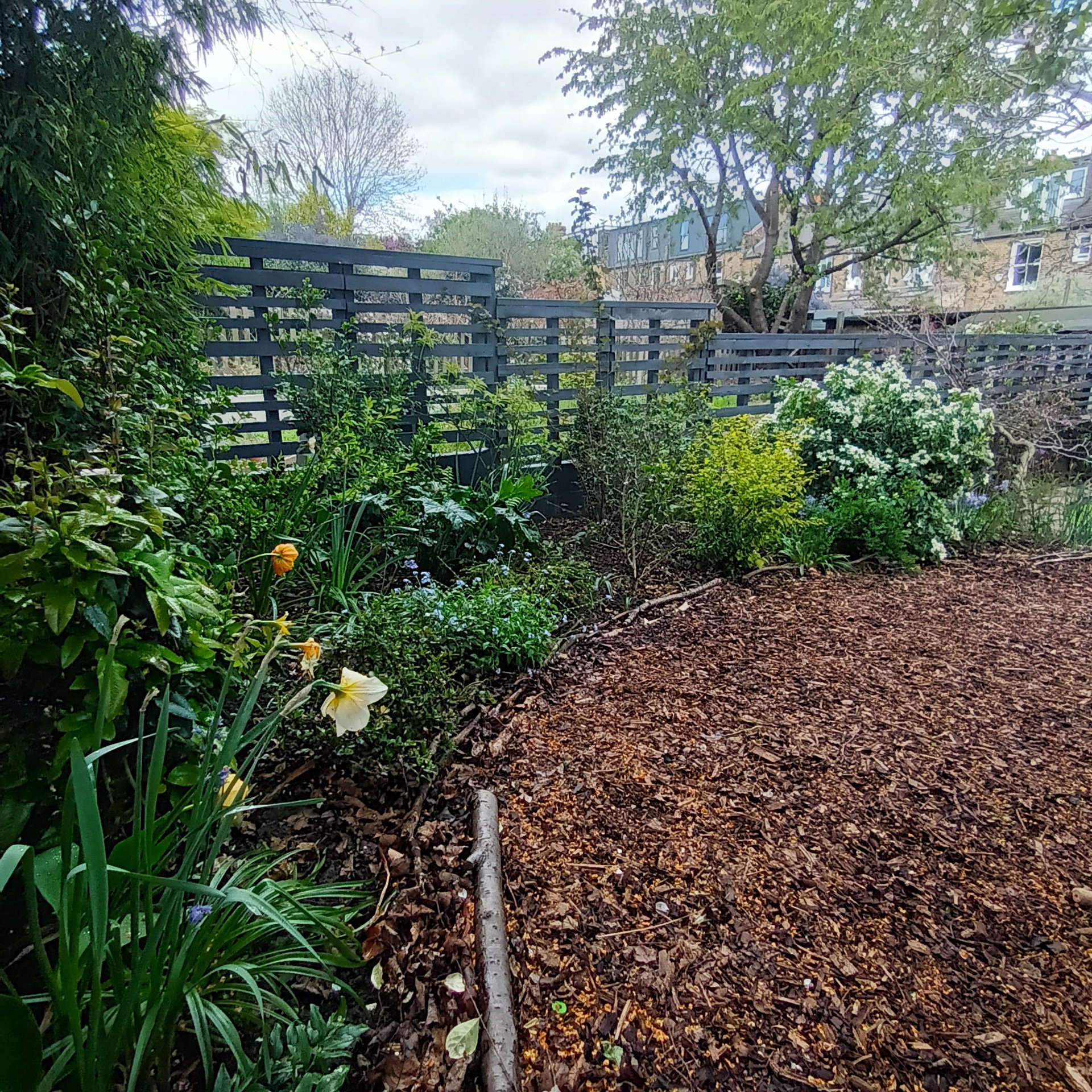 20220426_143003.jpg