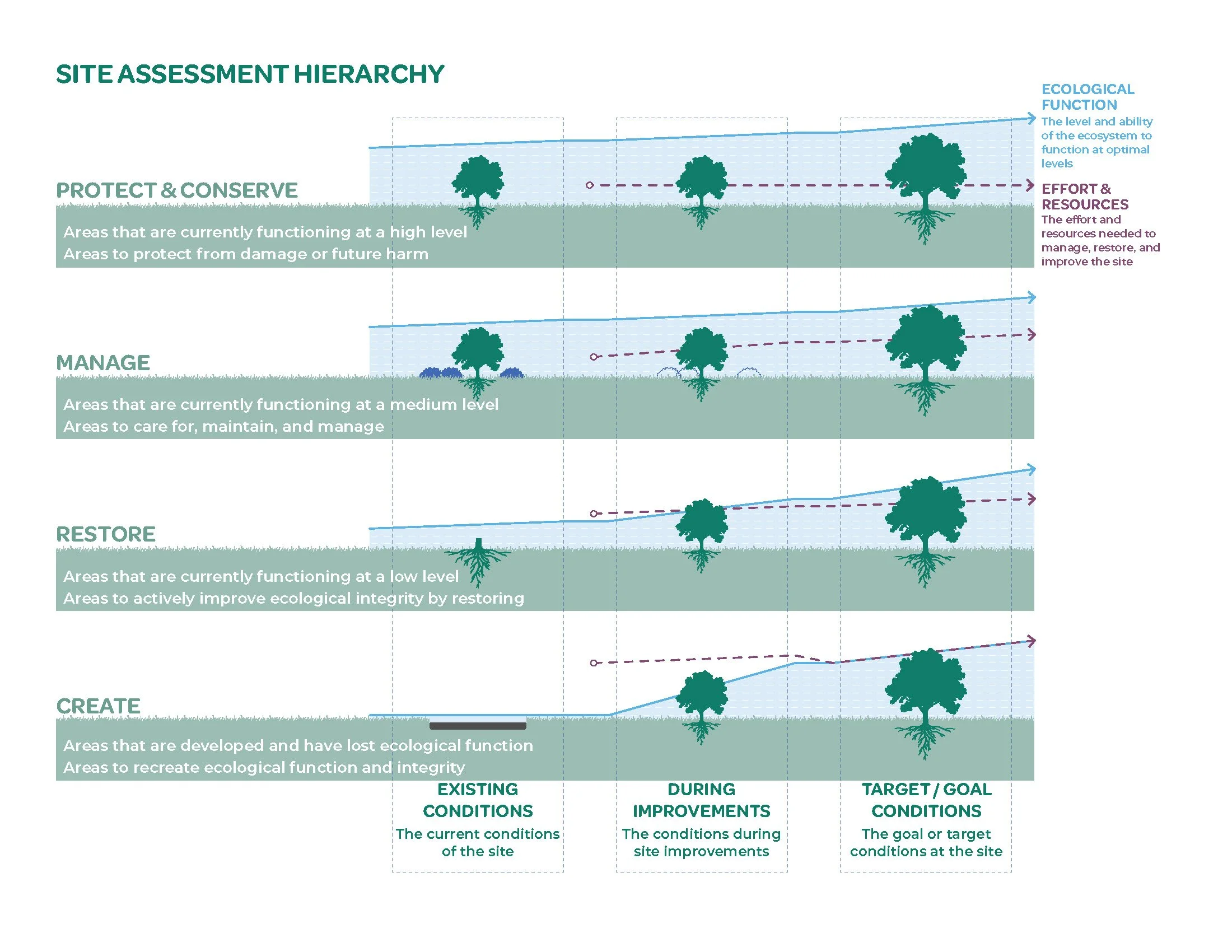 Site Assessment Hierarchy.jpg