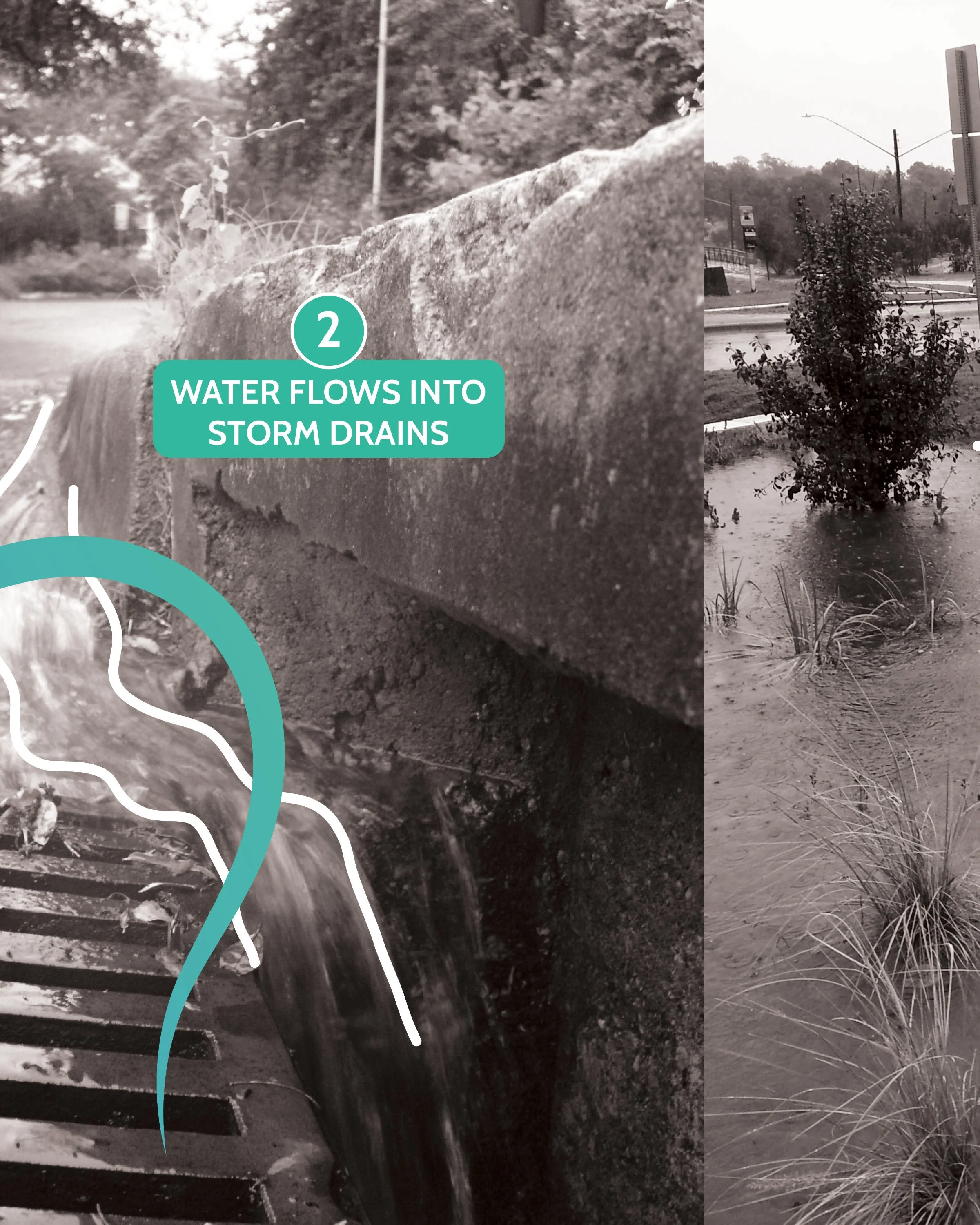 Path of Water Graphic3.jpg
