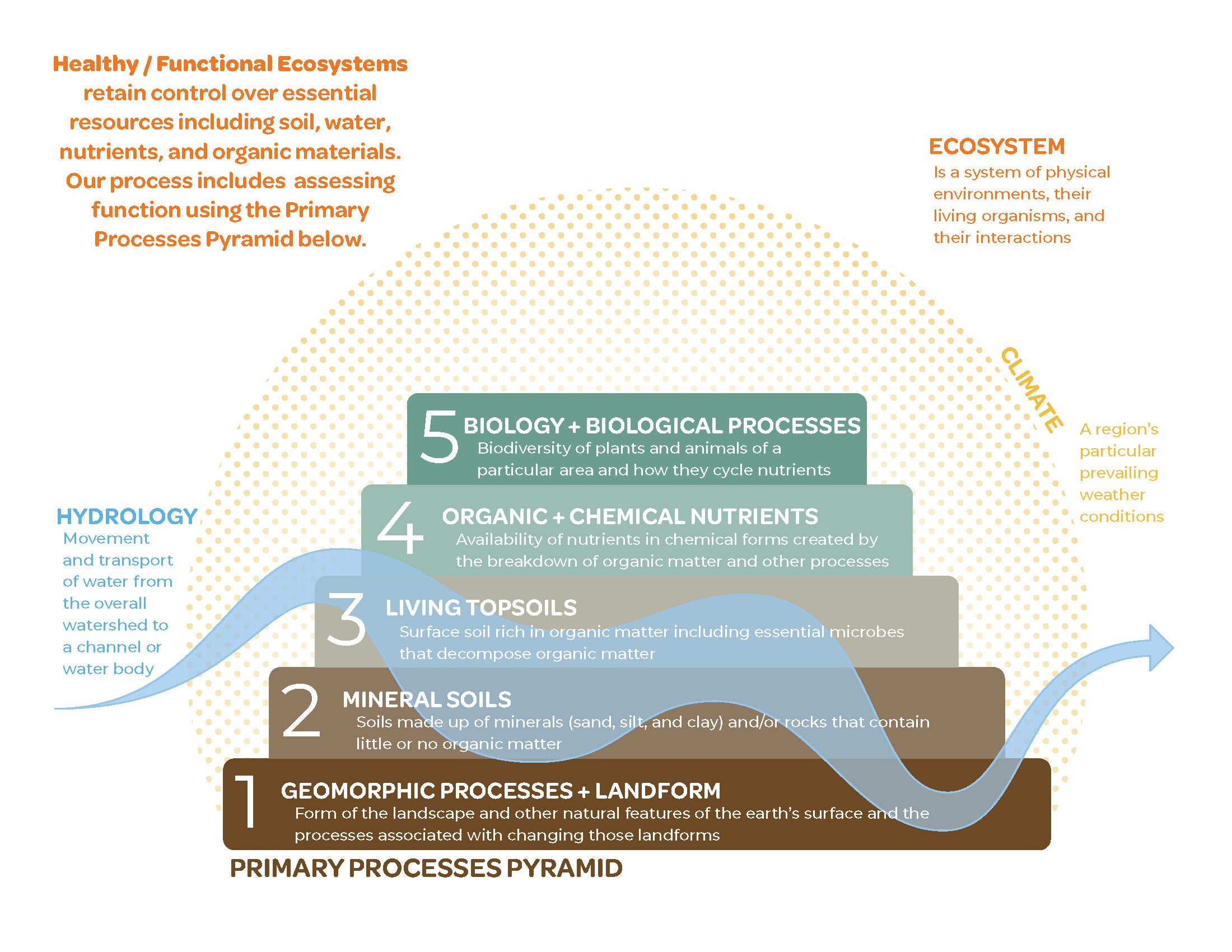Primary Processes Pyramid.jpg