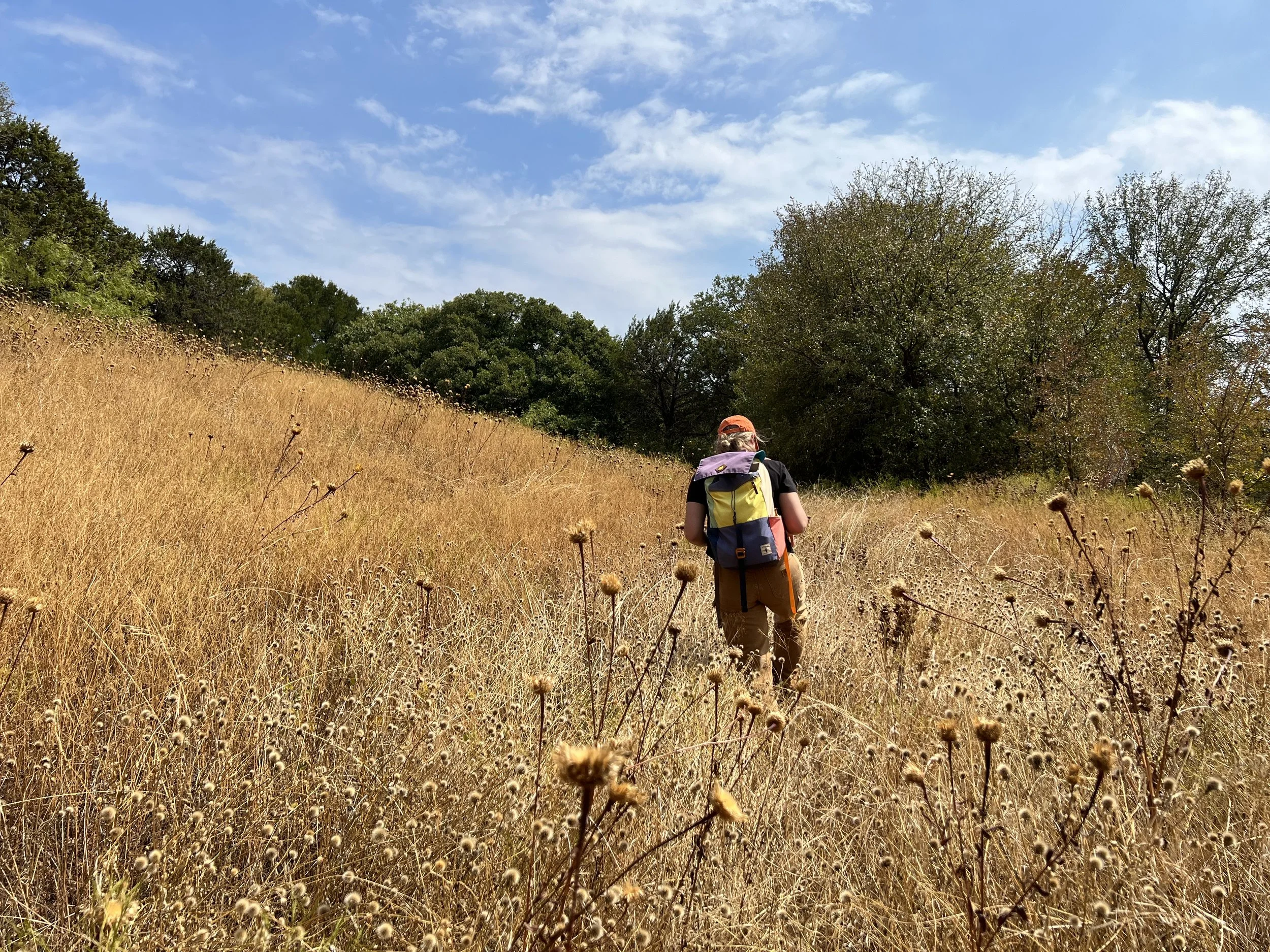 Singleton Preserve: Conservation and Ecological Stewardship Plan