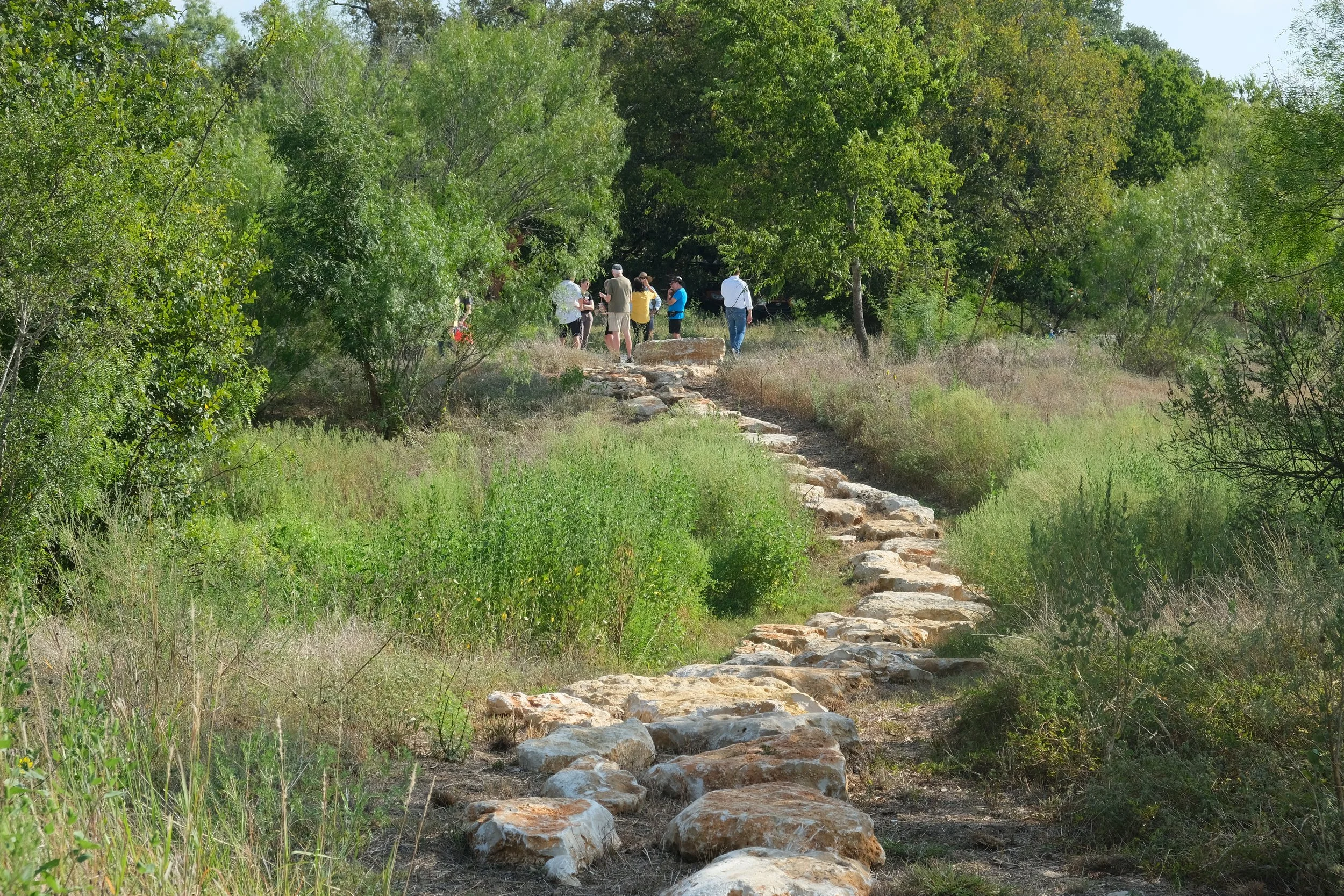 Upper Cougar Creek Savannah Trail - Sunset Valley, Texas