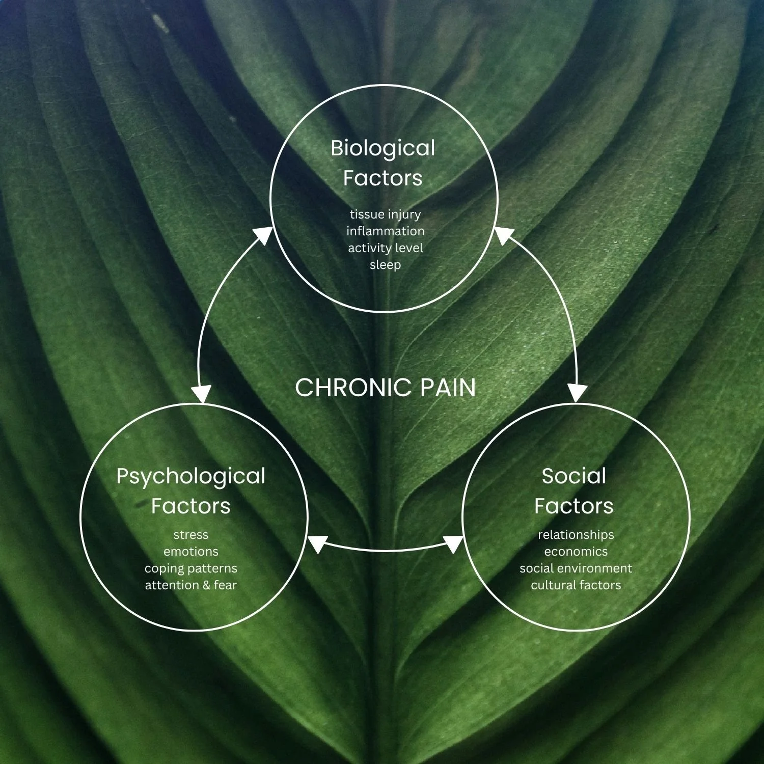 Infographic showing factors contributing to chronic pain, including biological, psychological factors and social factors and how they are all interconnected.