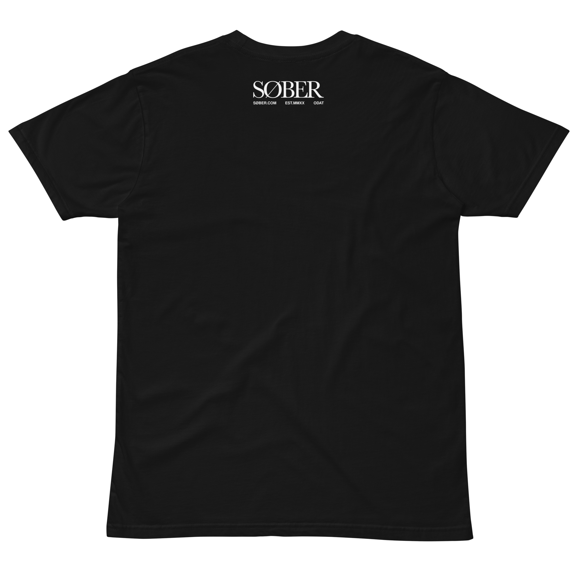 unisex-premium-t-shirt-black-back-6695af127777b.png