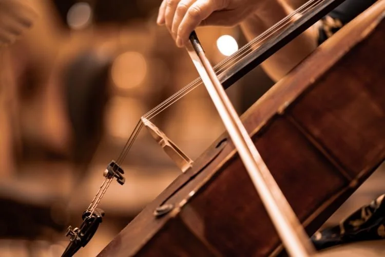 Yin & Cello Special Evening
