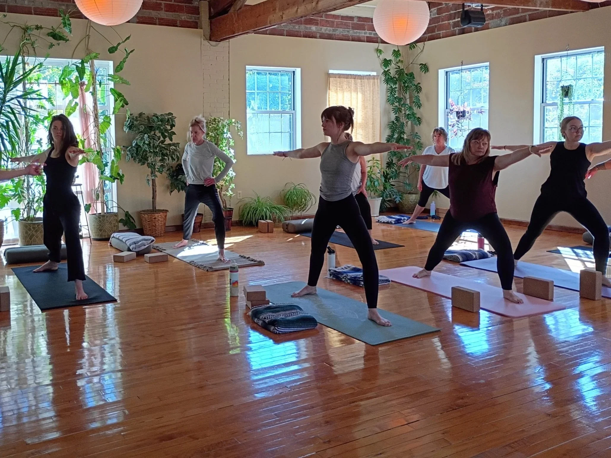 (Δ) Continuing Beginner Series (Beg II-Δ) : Steady Warriors, Somatic Yoga Postures for Courage