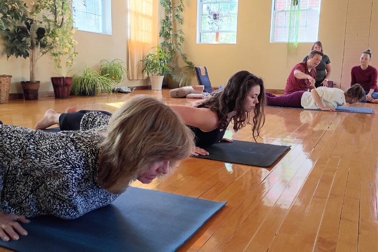 6-Week Beginner Yoga (Beg I) Early Spring Series