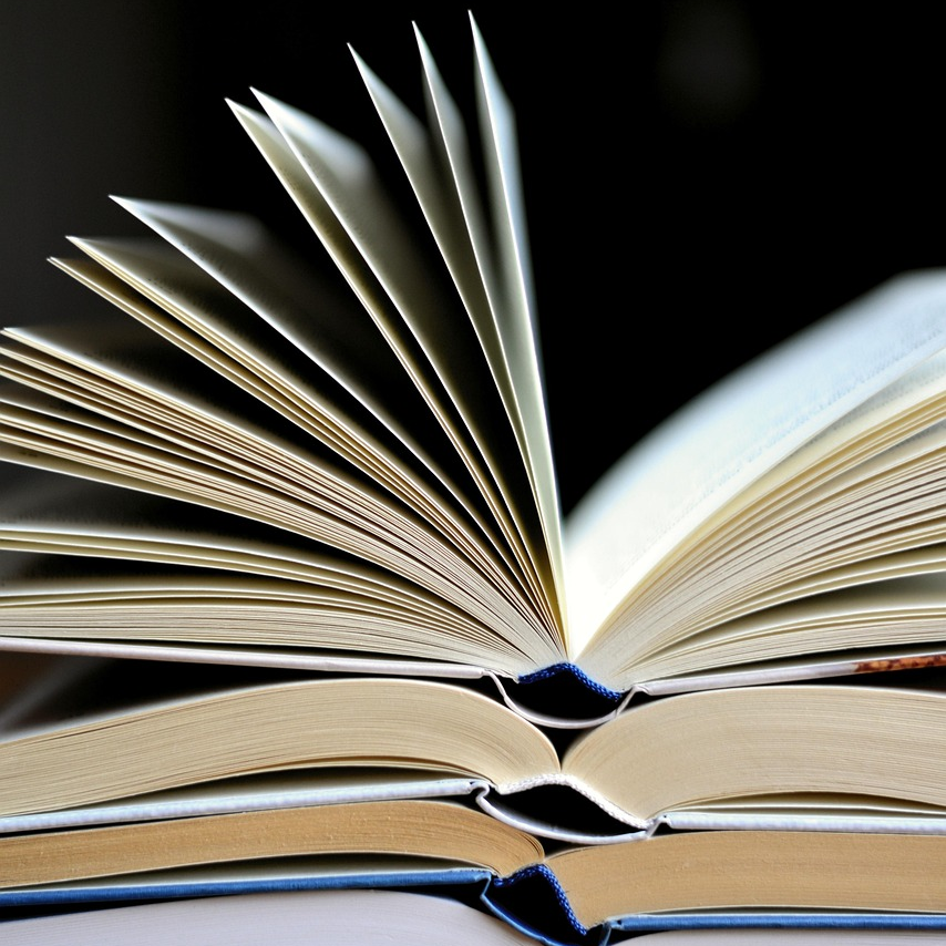 how i became a book club convert