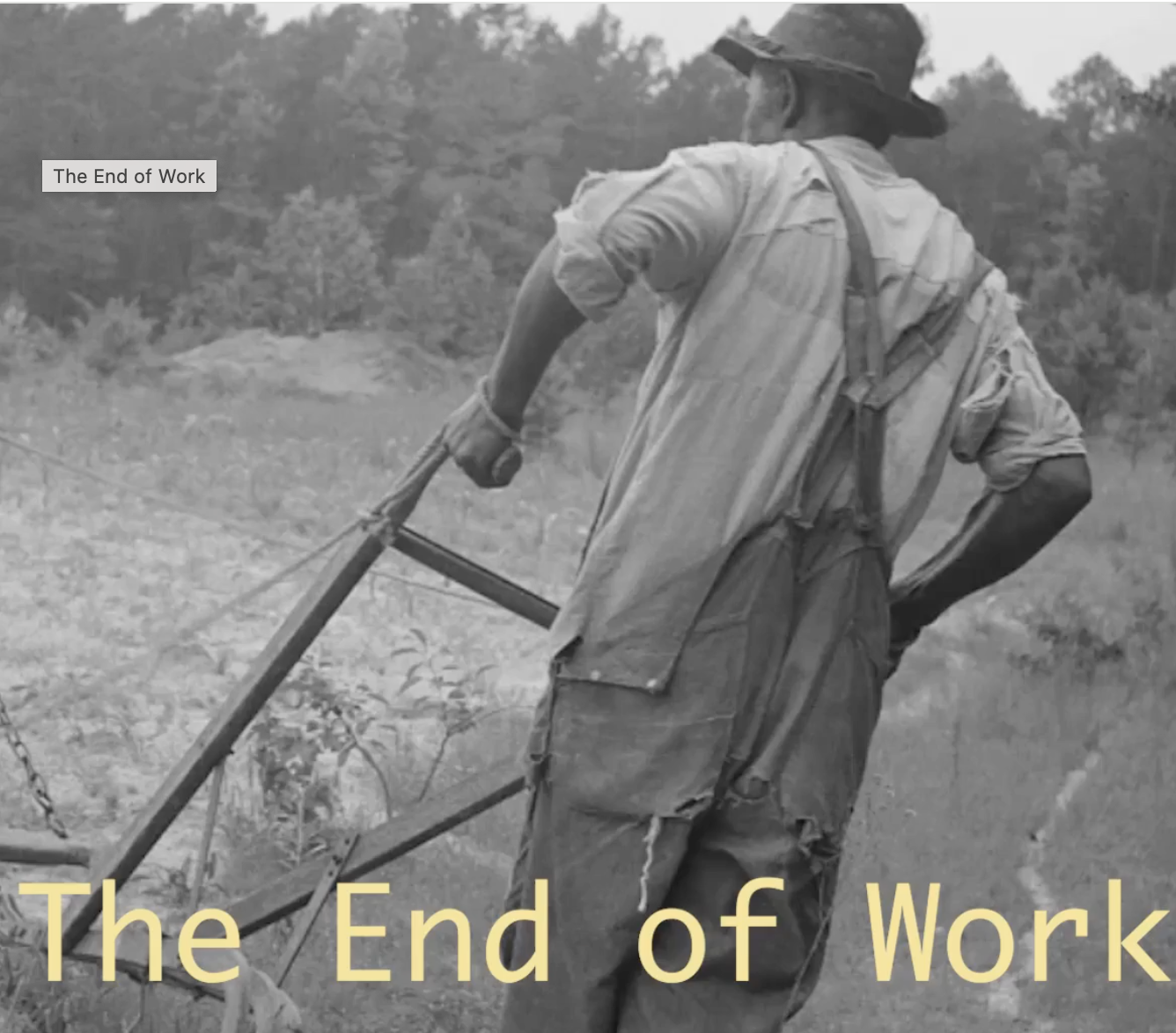 The End of work