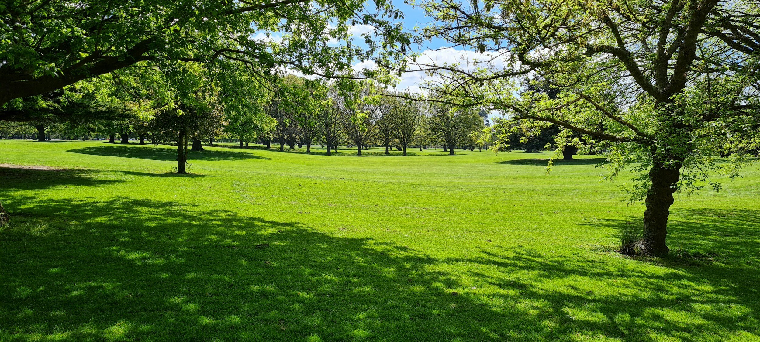 A lush green park with well-maintained grass and multiple trees casting shadows on the ground, under a partly cloudy sky.