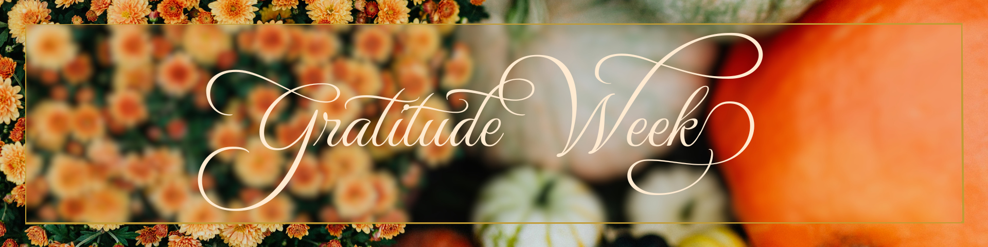 Gratitude Week 2025 — Susquehanna Valley United Way