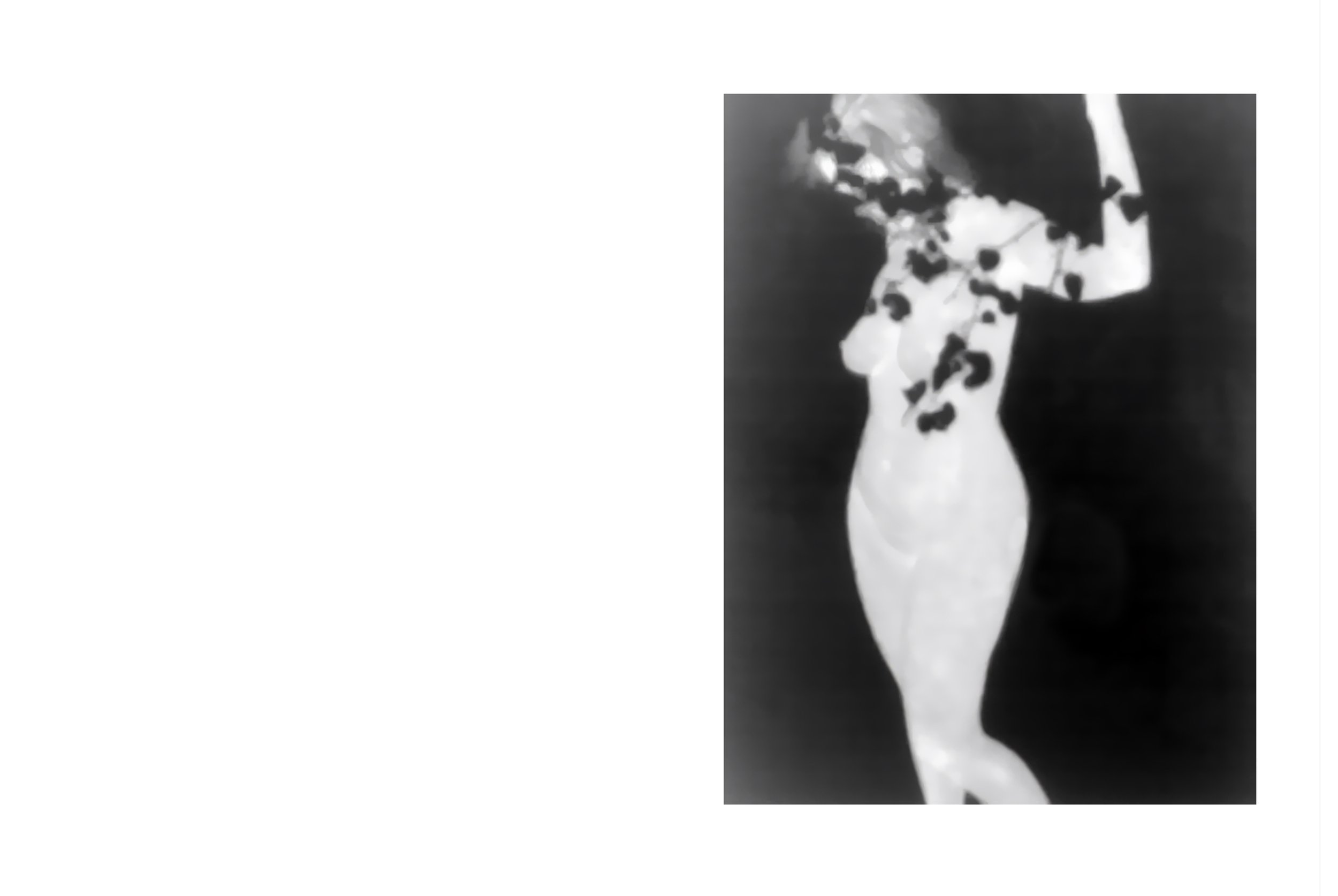 website pagina c.jpg