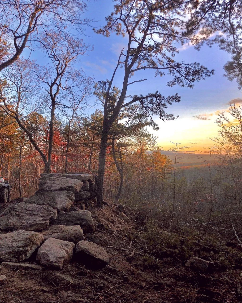 Brush Mountain Park Update