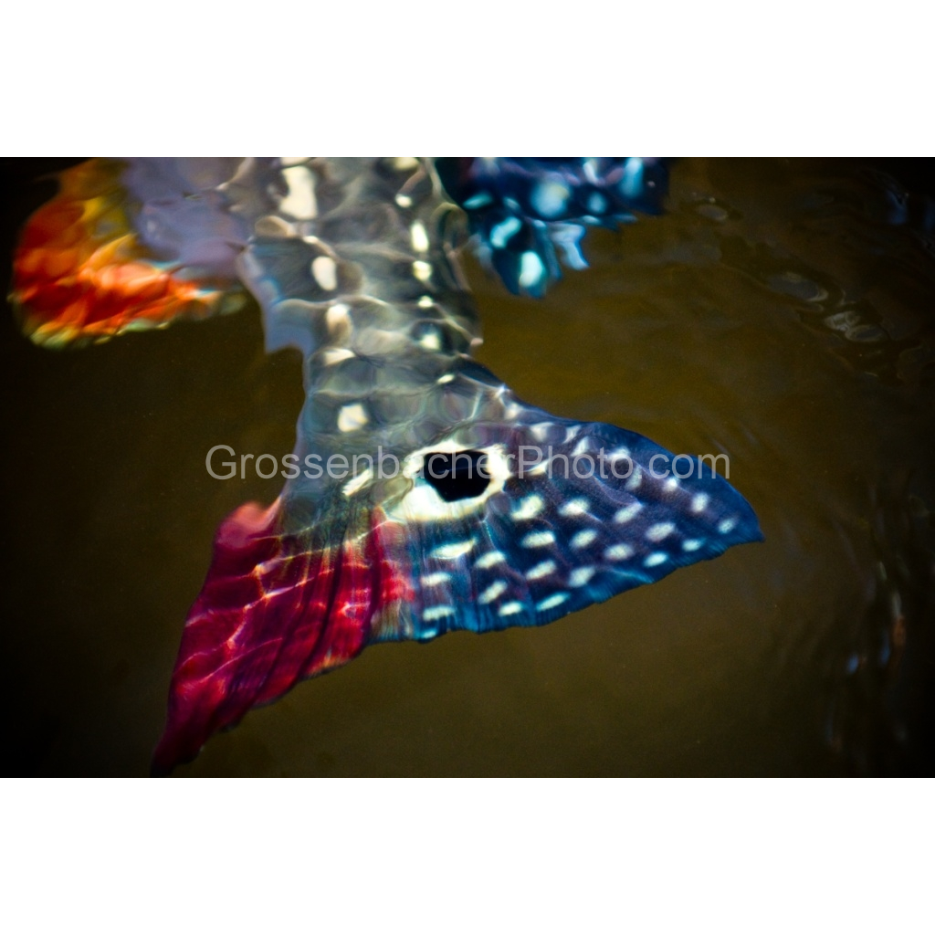 image_original_cbf75f5d3160e323aff975a166291bc5.png