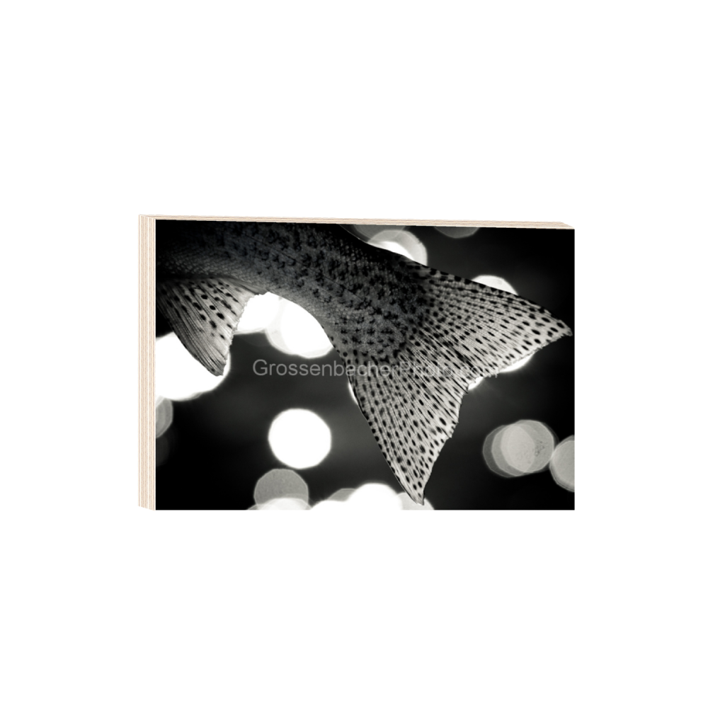 ptq_29_3_2_0_1195_797_0_false_ffffff_0_0_cbf75f5d3160e323aff975a166291bc5.png